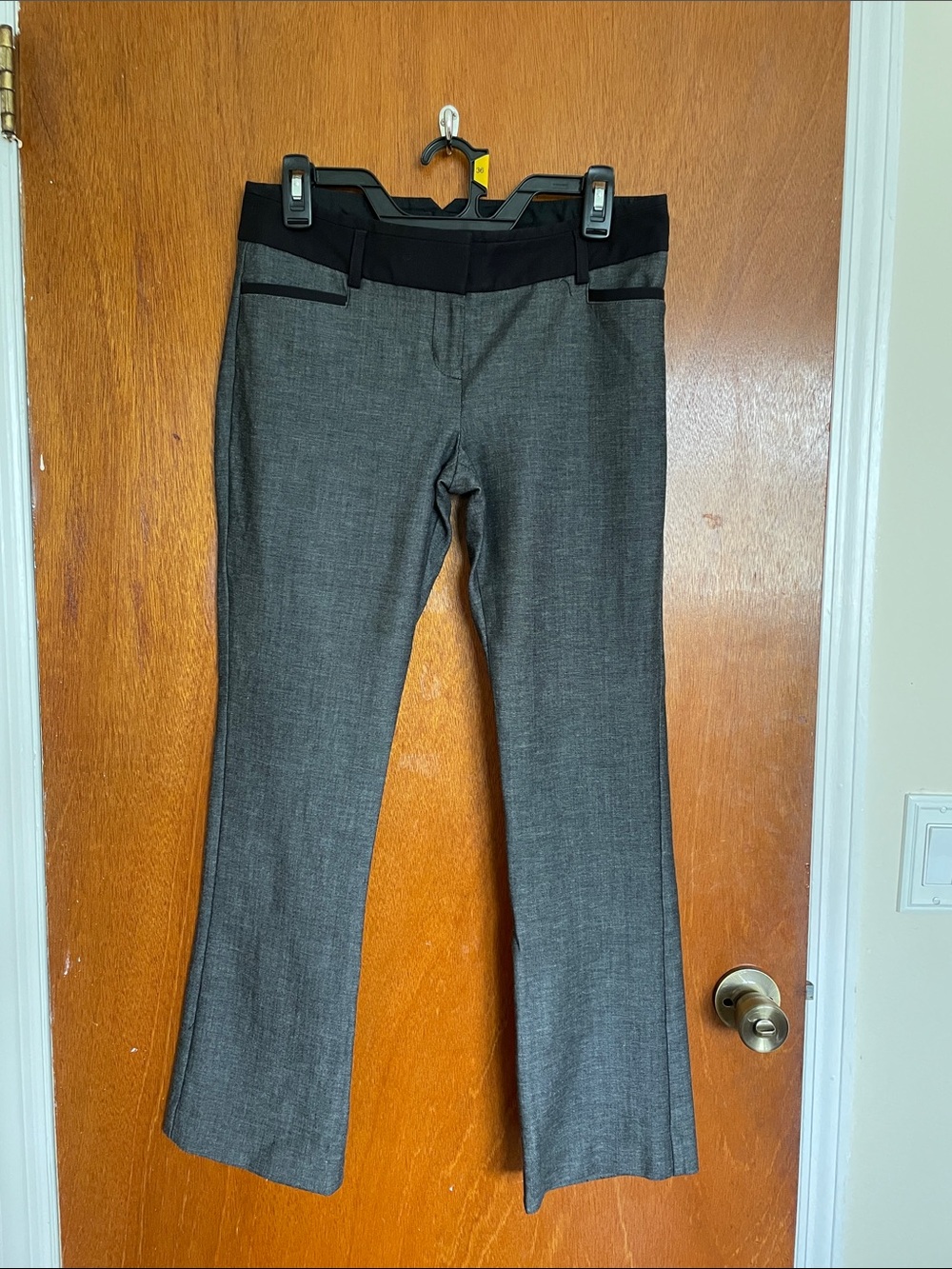 Express Gray Boot-Cut Dress Pants with Black Waistband